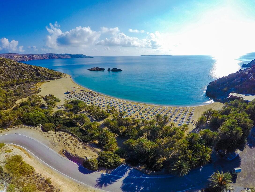 Φοινικόδασος Βάι