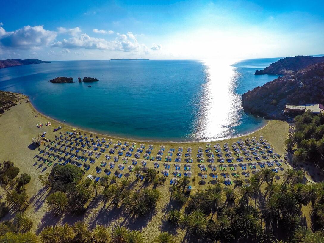 Φοινικόδασος Βάι