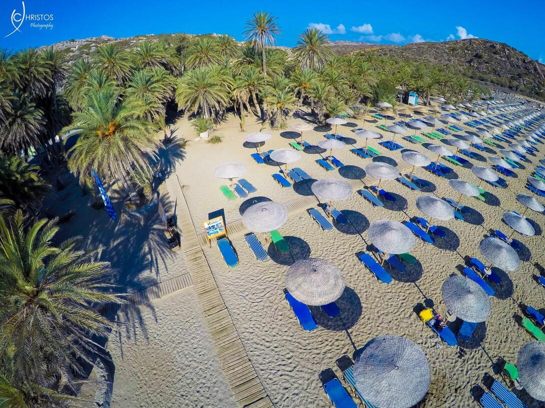 Φοινικόδασος Βάι