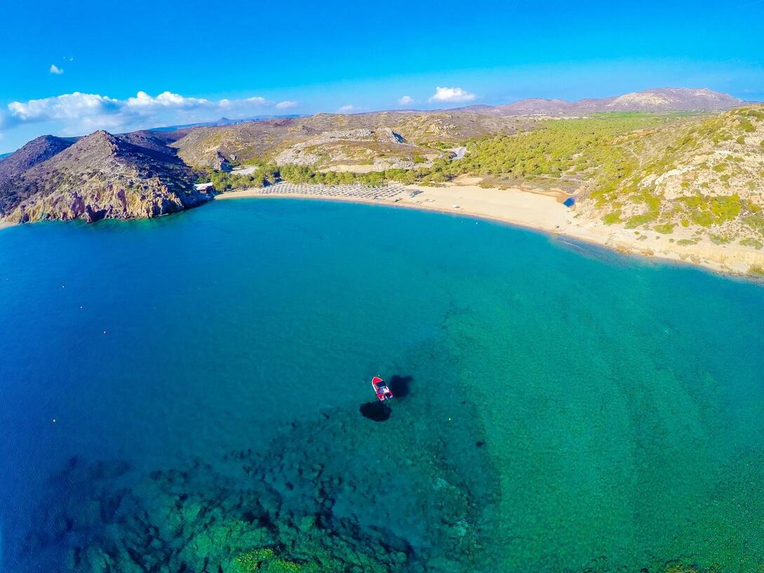 Φοινικόδασος Βάι