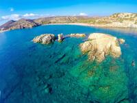 Φοινικόδασος Βάι