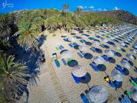 Φοινικόδασος Βάι