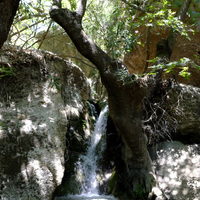 Pefki Gorge