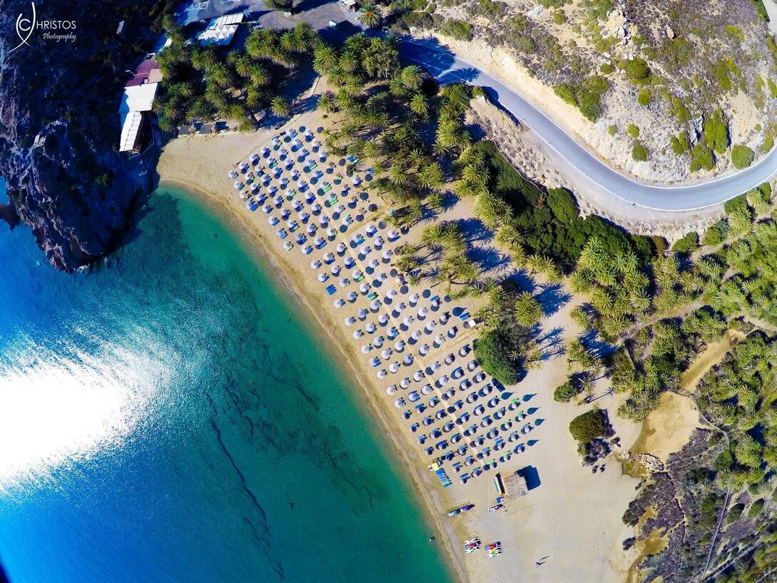 Φοινικόδασος Βάι