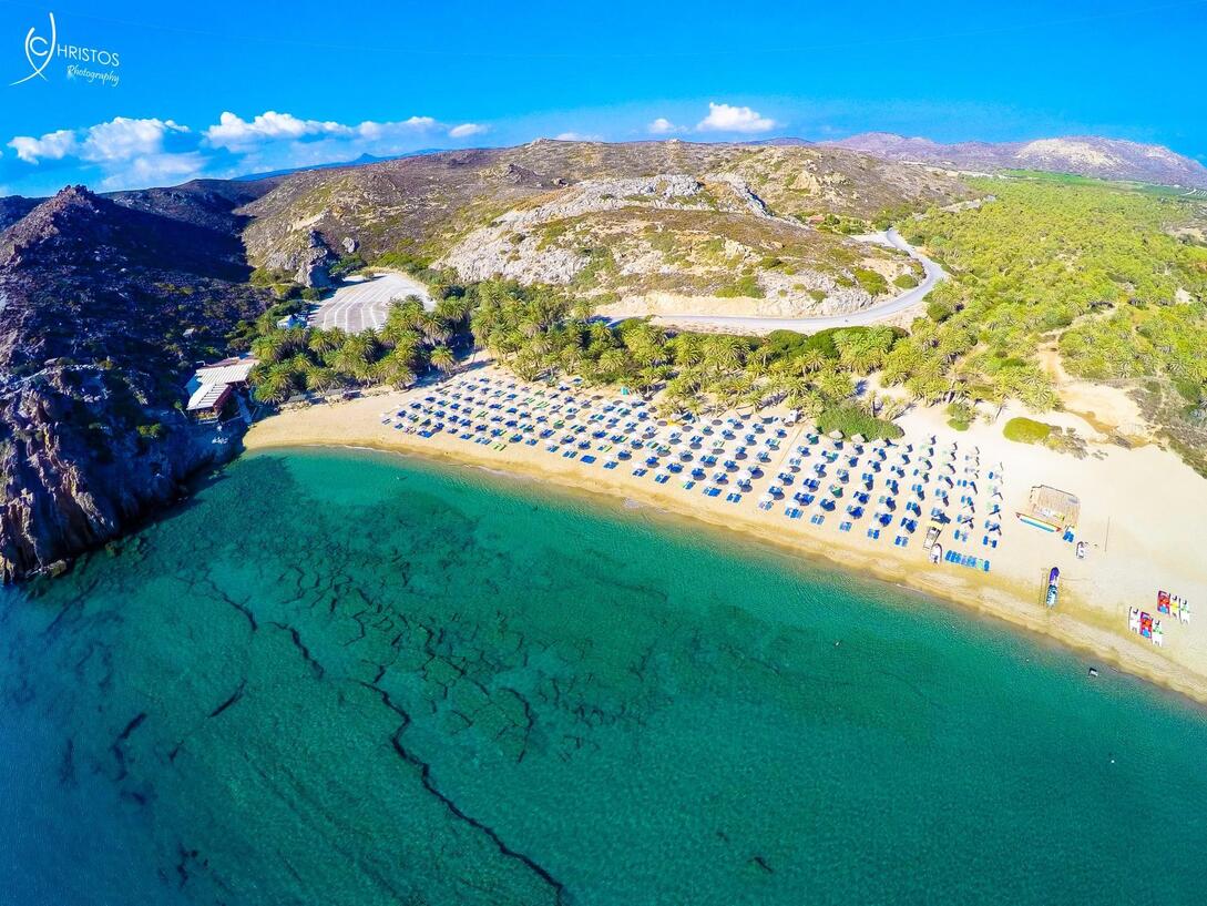 Φοινικόδασος Βάι