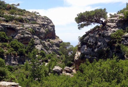 Pefki Gorge