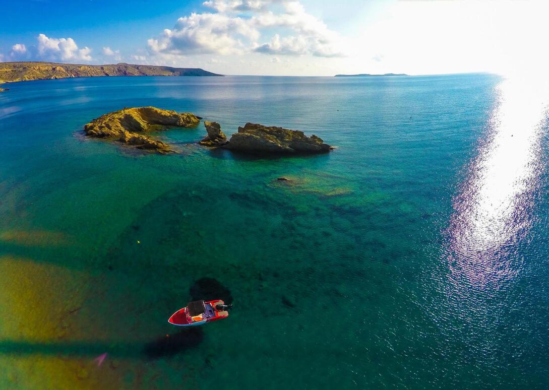 Φοινικόδασος Βάι
